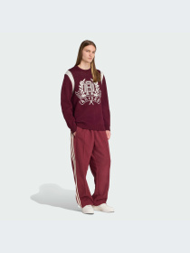 Худи и свитшоты Adidas Graphics модель JX8215-KZ Фото