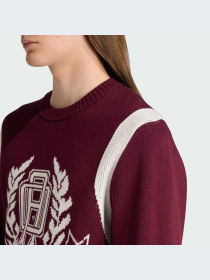 Худи и свитшоты Adidas Graphics модель JX8215-KZ Фото