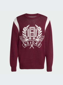 Худи и свитшоты Adidas Graphics модель JX8215-KZ Фото