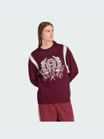 Худи и свитшоты Adidas Graphics модель JX8215-KZ Фото