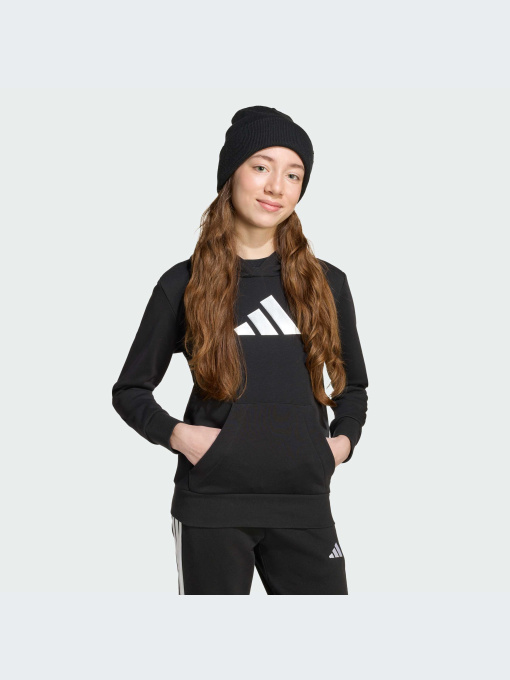 Худи и свитшоты Adidas модель JV5267-KZ Фото