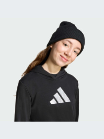 Худи и свитшоты Adidas модель JV5267-KZ Фото