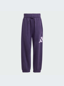 Костюмы Adidas модель JW2439-KZ Фото