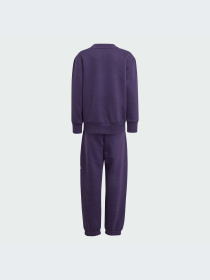 Костюмы Adidas модель JW2439-KZ Фото