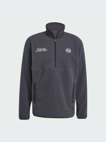 Худи и свитшоты Adidas Graphics модель JX8191-KZ Фото