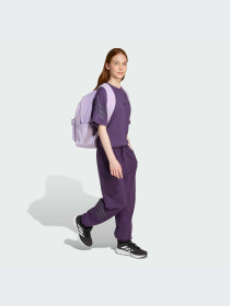 Брюки Adidas Icons модель JW7524-KZ Фото