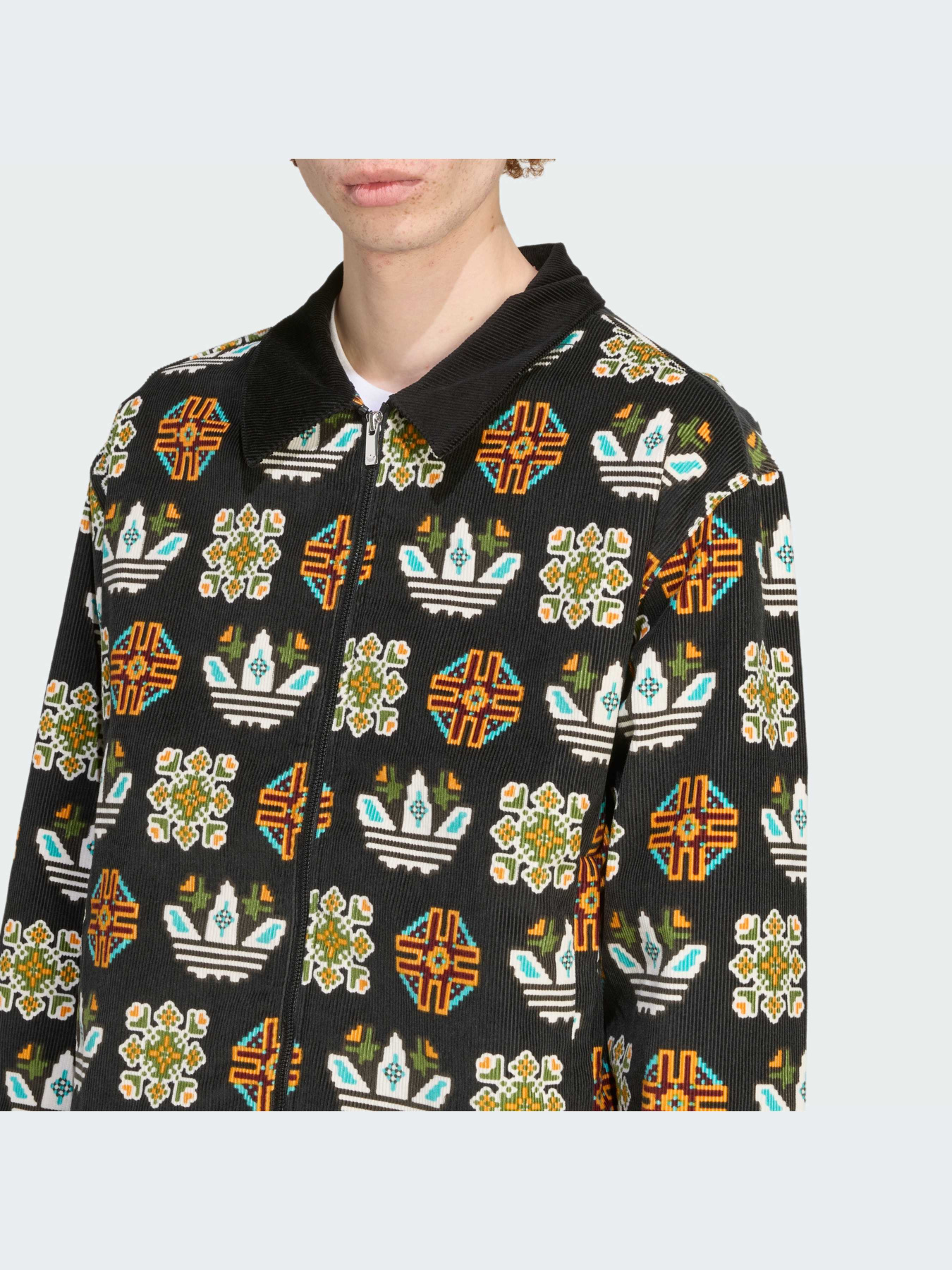 Куртки и дубленки Adidas Graphics модель JY2998-KZ Фото