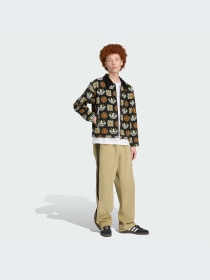 Куртки и дубленки Adidas Graphics модель JY2998-KZ Фото