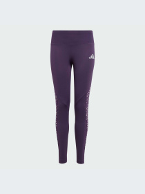 Брюки Adidas модель JM3844-KZ Фото
