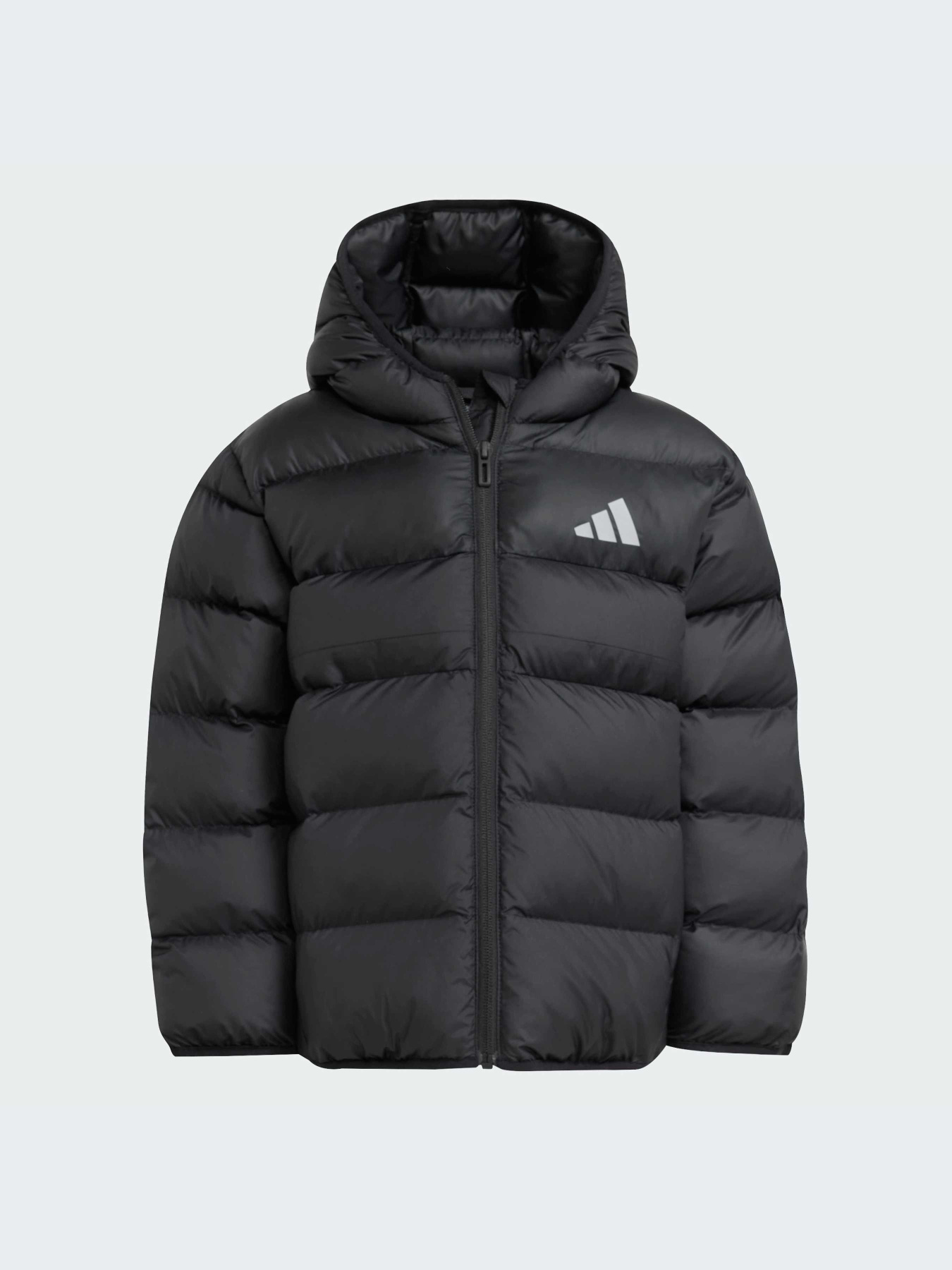 Куртки и дубленки Adidas модель JM8864-KZ Фото