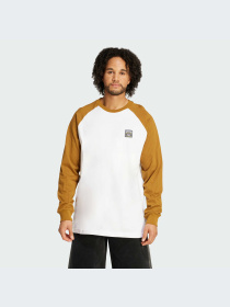 Худи и свитшоты Adidas Graphics модель JW0163-KZ Фото