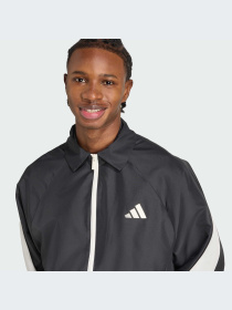 Худи и свитшоты Adidas модель JN1829-KZ Фото