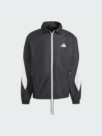 Худи и свитшоты Adidas модель JN1829-KZ Фото