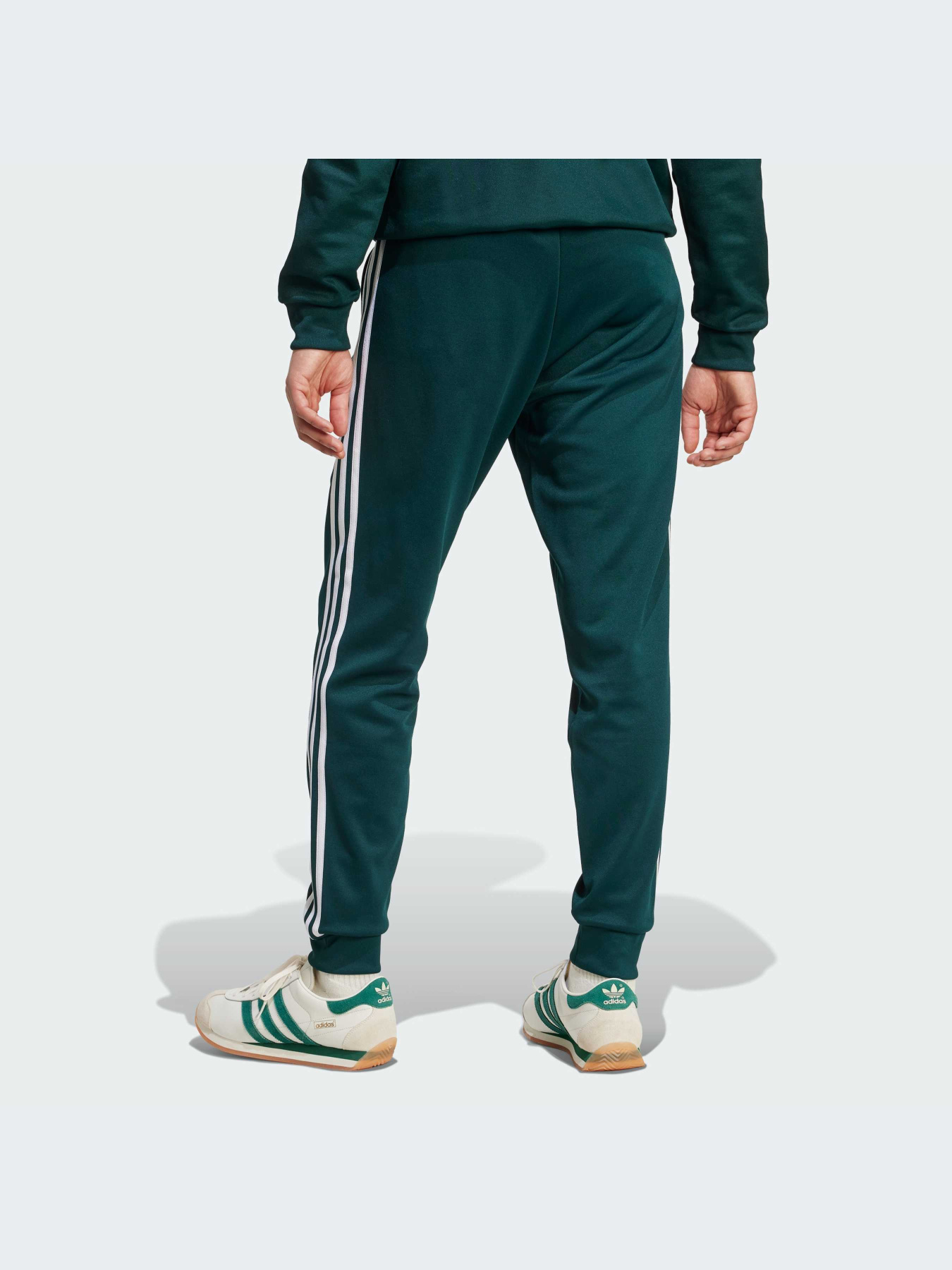 Брюки Adidas Adicolor модель JY1288-KZ Фото
