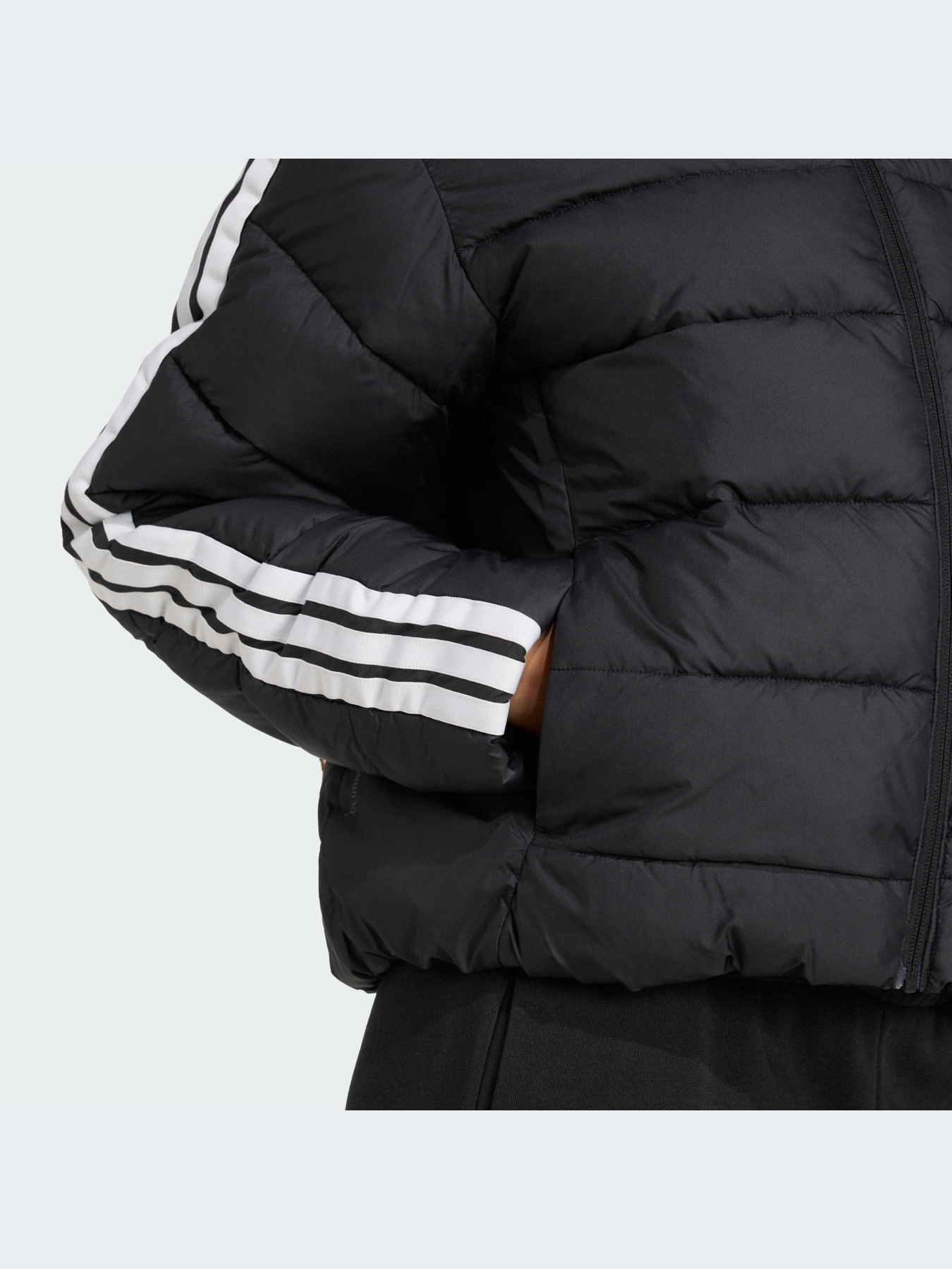 Куртки и дубленки Adidas модель JM8421-KZ Фото