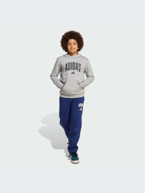 Худи и свитшоты Adidas модель JV7336-KZ Фото