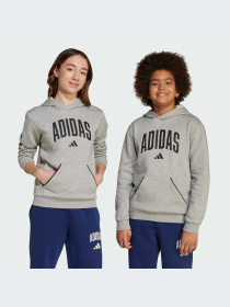 Худи и свитшоты Adidas модель JV7336-KZ Фото
