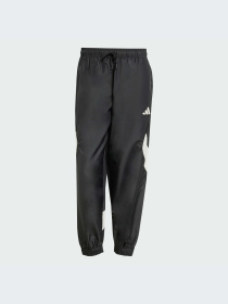 Брюки Adidas модель JN1830-KZ Фото