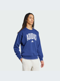 Худи и свитшоты Adidas модель JM1734-KZ Фото