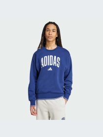 Худи и свитшоты Adidas модель JM1734-KZ Фото