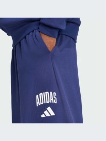 Брюки Adidas модель JM9179-KZ Фото
