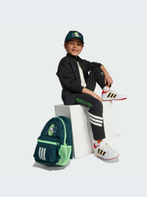 Брюки Adidas модель JL9189-KZ Фото