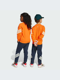Брюки Adidas модель JM0828-KZ Фото