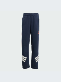 Брюки Adidas модель JM0828-KZ Фото