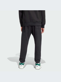 Брюки Adidas модель IX1246-KZ Фото