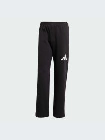 Брюки Adidas модель JF3567-KZ Фото