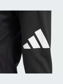 Брюки Adidas модель IN6147-KZ Фото