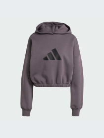 Худи и свитшоты Adidas Icons модель JE0140-KZ Фото