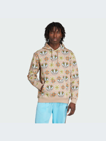 Худи и свитшоты Adidas Graphics модель JW1084-KZ Фото