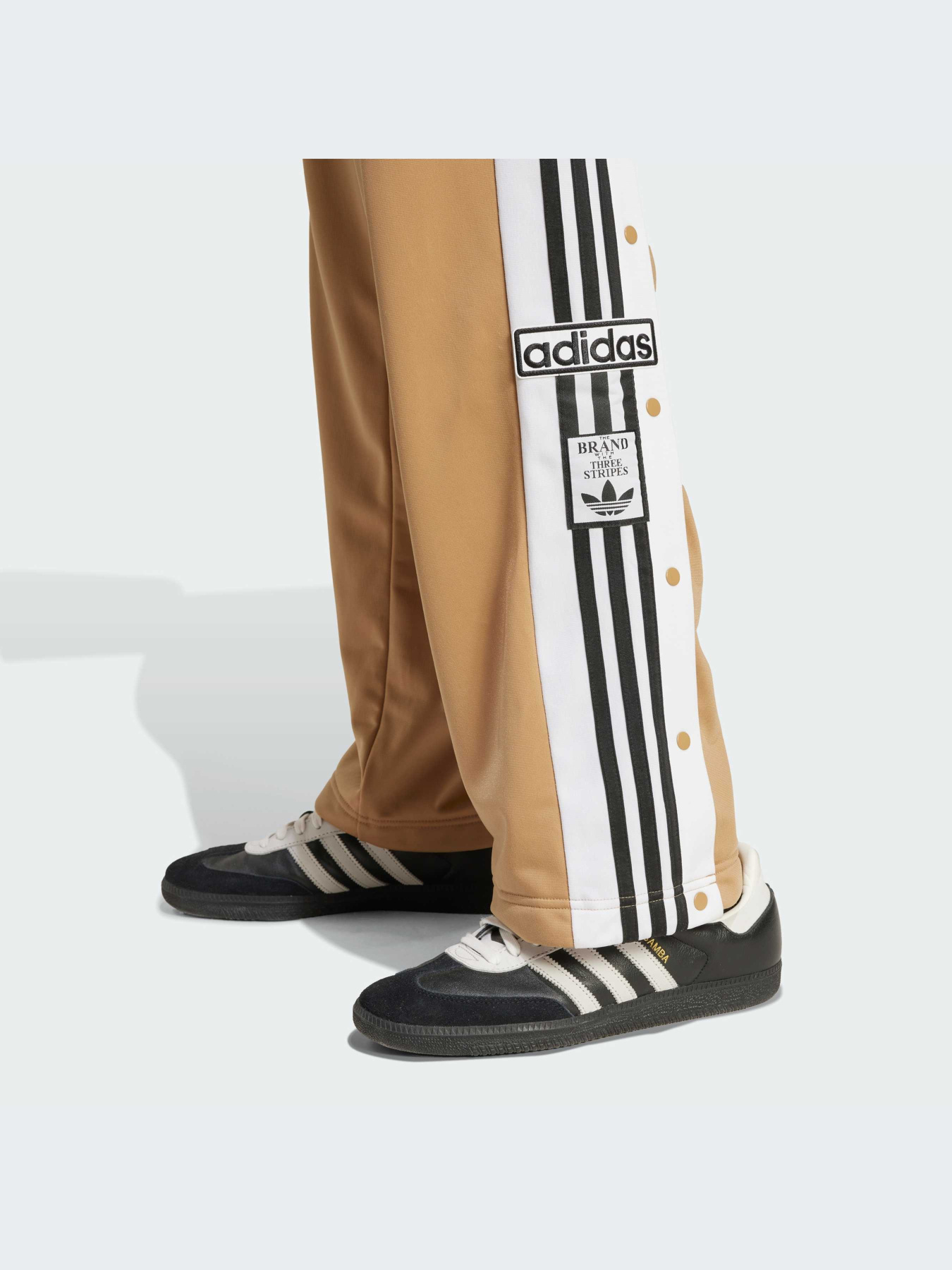 Брюки Adidas Adicolor модель JY1302-KZ Фото