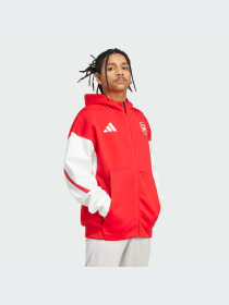 Худи и свитшоты Adidas ZNE модель JM9409-KZ Фото