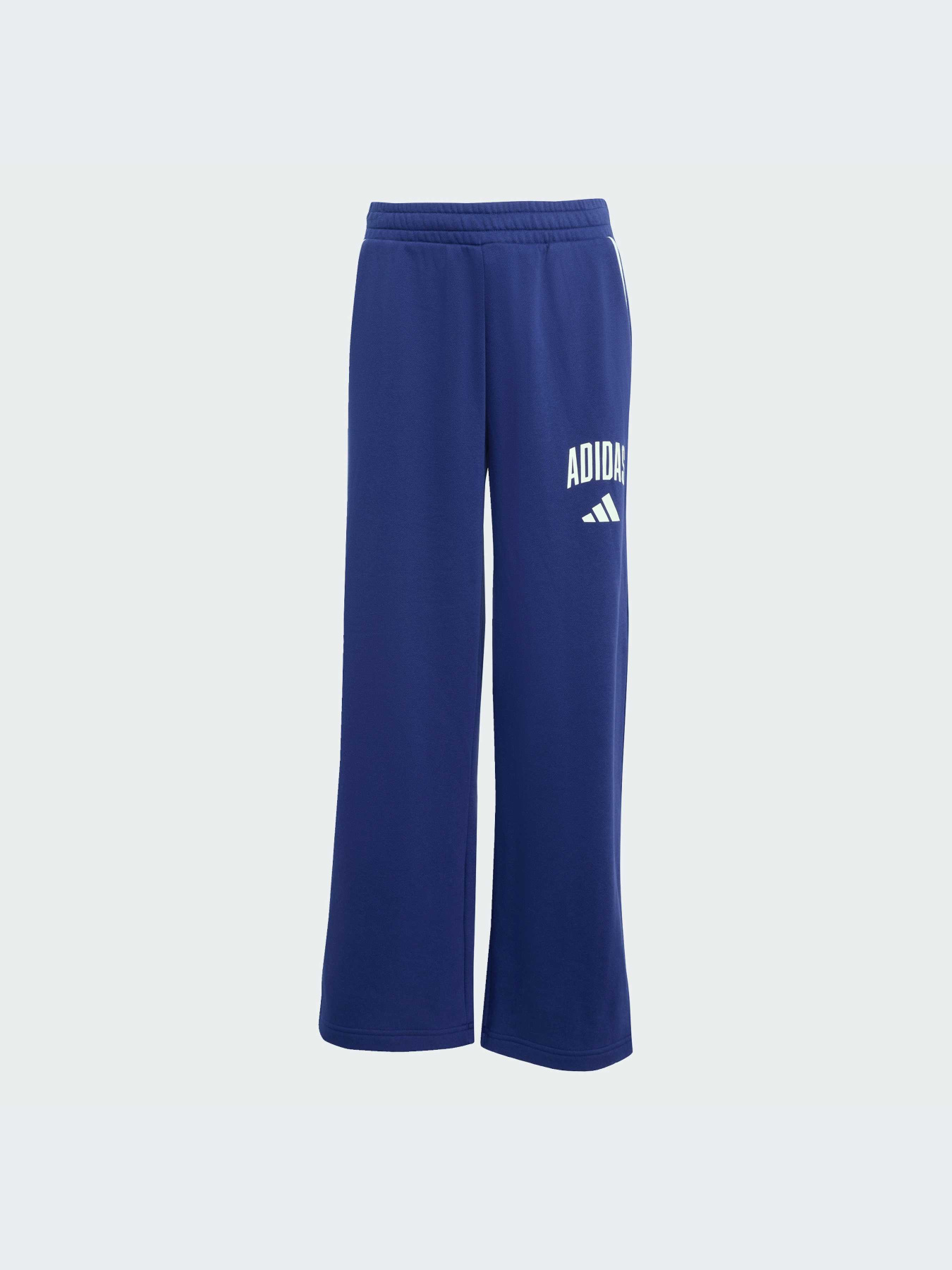 Брюки Adidas модель JM1539-KZ Фото