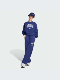 Брюки Adidas модель JM1539-KZ Фото