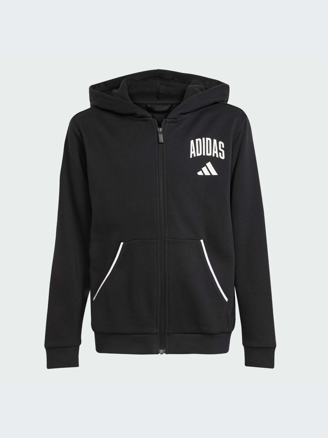 Худи и свитшоты Adidas модель JM1534-KZ Фото