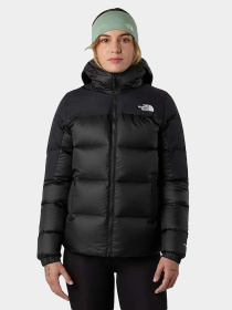 Куртки и дубленки The North Face модель NF0A8E13PH51 Фото