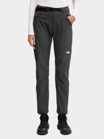 Брюки The North Face модель NF0A8E1H0C51 Фото