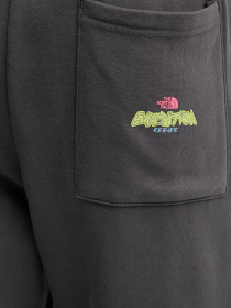Брюки The North Face модель NF0A8E3ERHI1 Фото