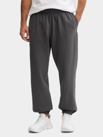 Брюки The North Face модель NF0A8E3ERHI1 Фото