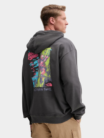 Худи и свитшоты The North Face модель NF0A8E3FRHI1 Фото