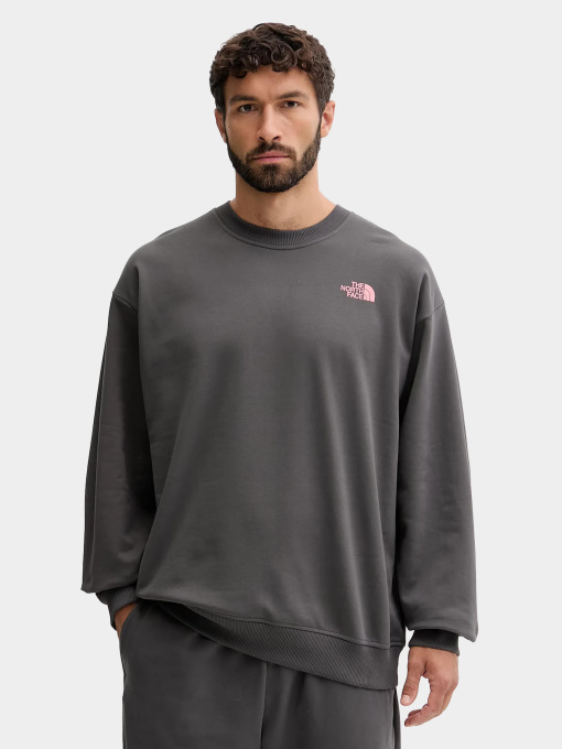 Худи и свитшоты The North Face модель NF0A8E3GRHI1 Фото