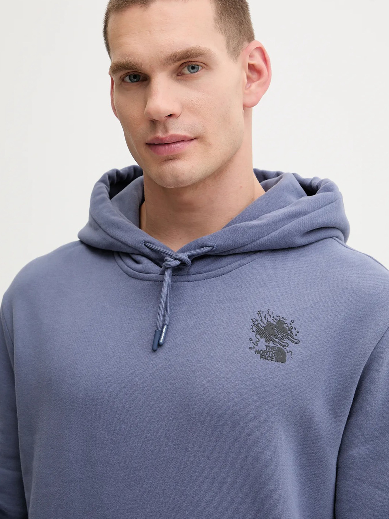 Худи и свитшоты The North Face модель NF0A8E4GBTR1 Фото