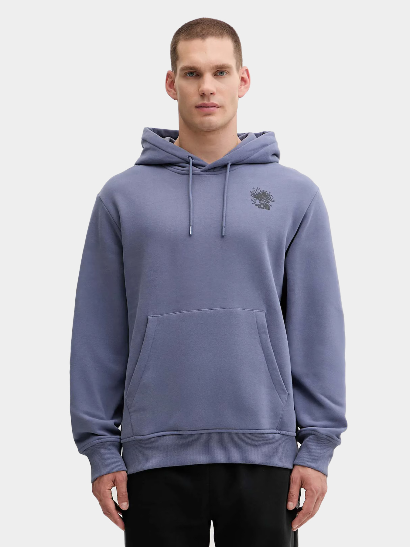 Худи и свитшоты The North Face модель NF0A8E4GBTR1 Фото