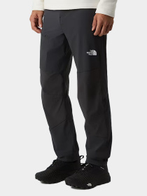 Брюки The North Face модель NF0A8EKQ0C51 Фото