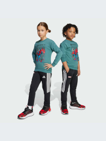 Костюмы Adidas модель JM0808-KZ Фото