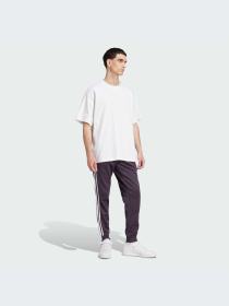 Брюки Adidas Adicolor модель IY9865-KZ Фото