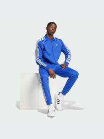 Брюки Adidas Adicolor модель IY9861-KZ Фото